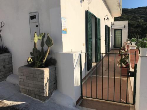 Apartamento Monteguardia - Immobilevante