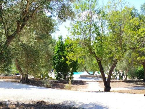Bed & Breakfast Relais Trulli Le Icone