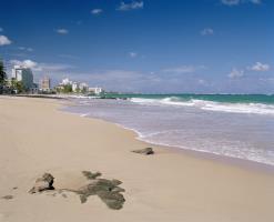 Hotel San Juan Marriott Resort & Stellaris Casino