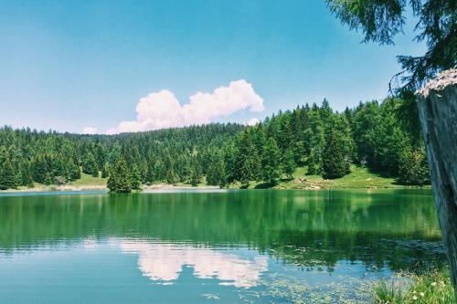 Hostal Berggasthof Pension Pfitscher