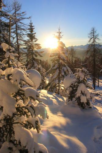 Hostal Berggasthof Pension Pfitscher