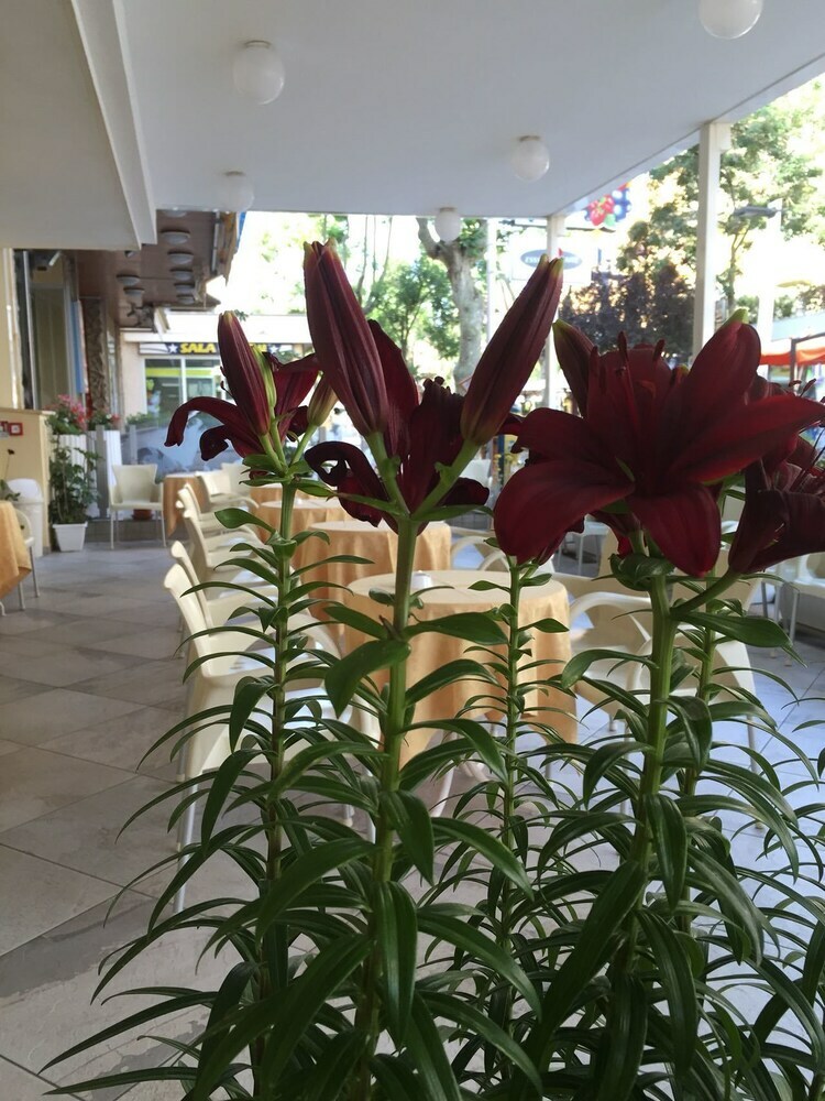 Hotel Angela