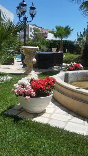 Bed & Breakfast Villa Belvedere Di Rita
