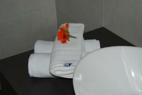 Aparthotel Pichler