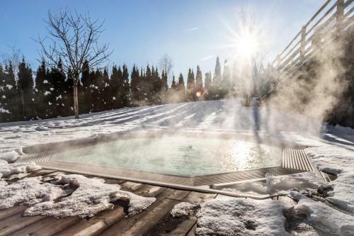 Sonnenhotel Adler Spa & Nature