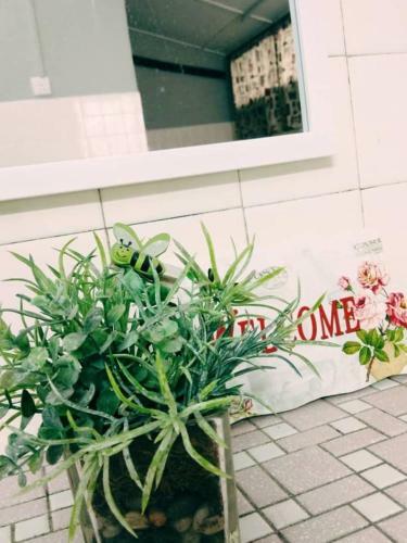 Hostal Precious Guesthouse Ipoh