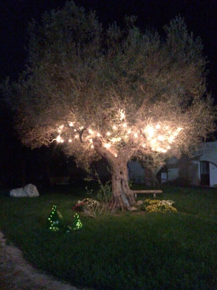 Agroturismo Masseria Pappo