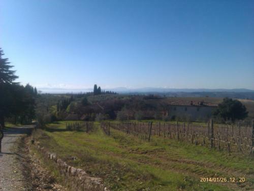 Hotel 1000 Miglia