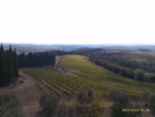 Hotel 1000 Miglia