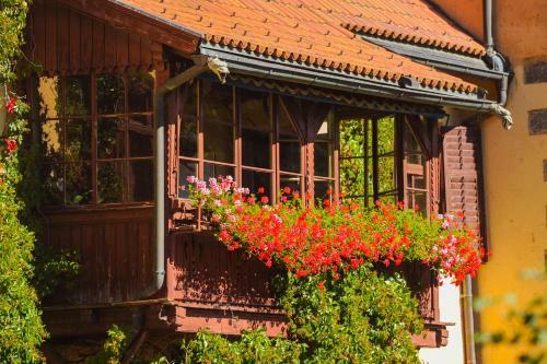 Bed & Breakfast Valcastello Dolomites Chalet & Polo Club