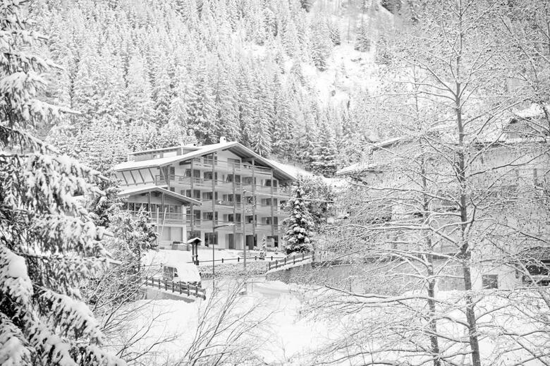 Arthotel Anterleghes - Gardenahotels