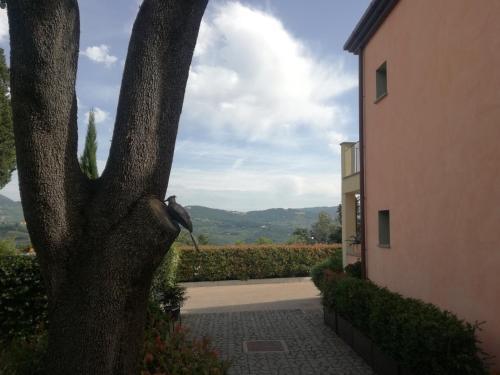Apartamento Residence Fiesole
