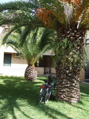 Apartamento Appartamento Le Rose