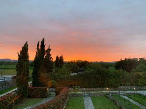 Bed & Breakfast La Corte Di Ronzano
