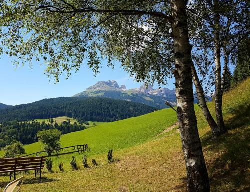 Ciasa Alpina Relax Hotel