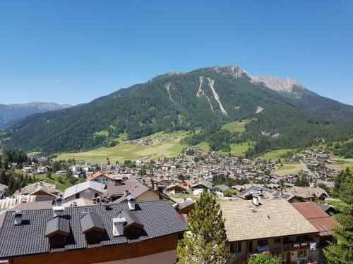 Ciasa Alpina Relax Hotel