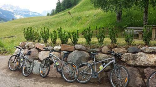 Ciasa Alpina Relax Hotel