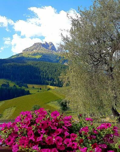 Ciasa Alpina Relax Hotel