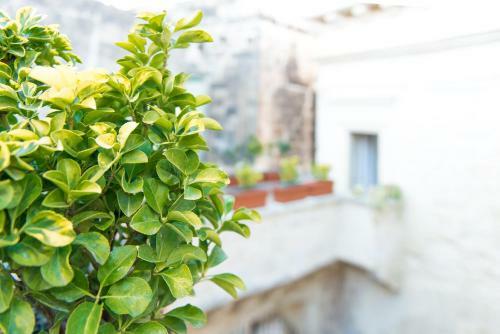 Bed & Breakfast Suite Palace Castromediano