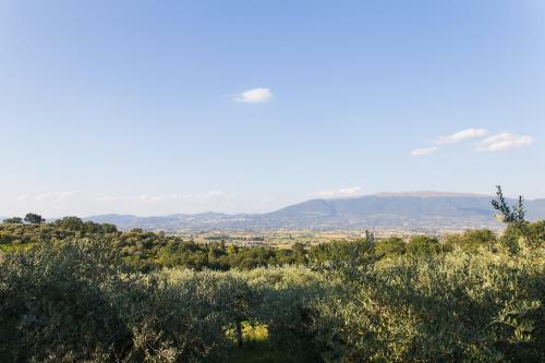 Agroturismo Agriturismo Il Cicaleto