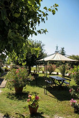 Agroturismo Agriturismo Il Cicaleto