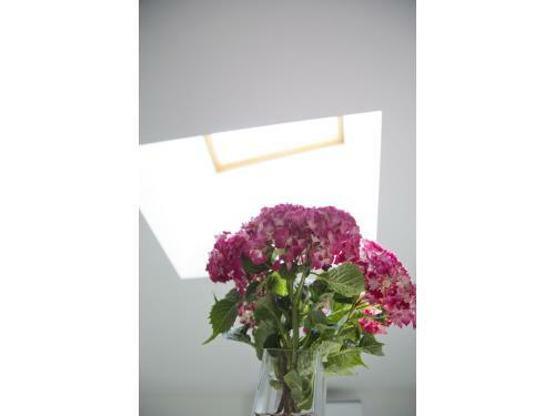 Marina's White Apartment