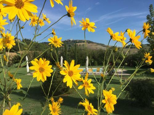 Agroturismo Agriturismo Marinello