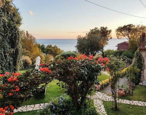 Bed And Breakfast Nefer