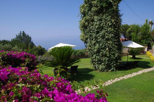 Bed And Breakfast Nefer
