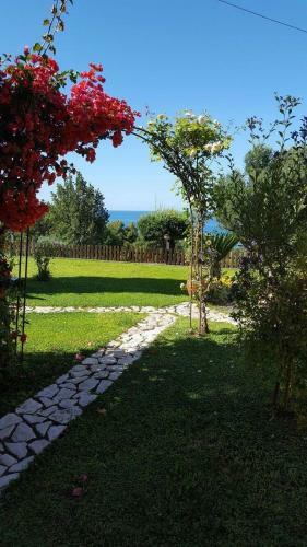 Bed And Breakfast Nefer