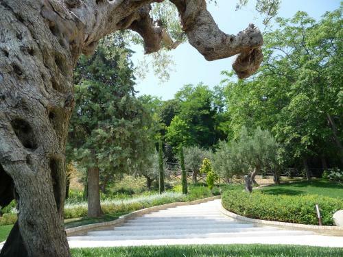 Bed & Breakfast Borgo Fonte Scura