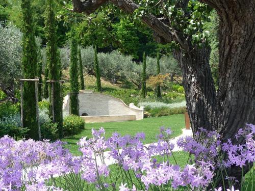 Bed & Breakfast Borgo Fonte Scura