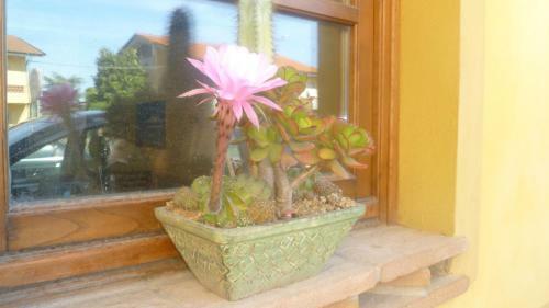 Bed & Breakfast Le Ginestre B & B