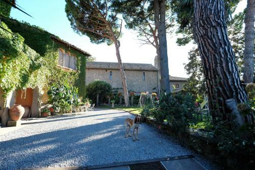 B&B A Piazza Del Ges�