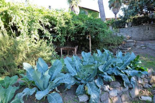 B&B A Piazza Del Ges�