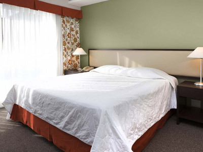 Hotel Rio Othon Palace