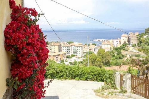 Apartamento Appartamento La Panoramica