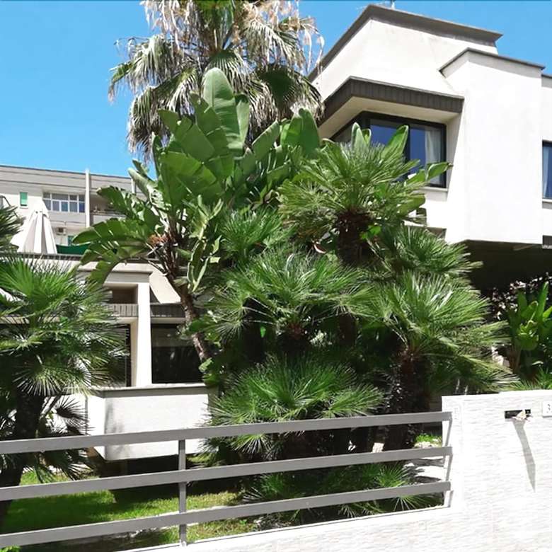 Bed & Breakfast Villa Strelizia