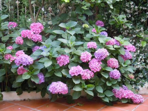 B&B Certe Notti