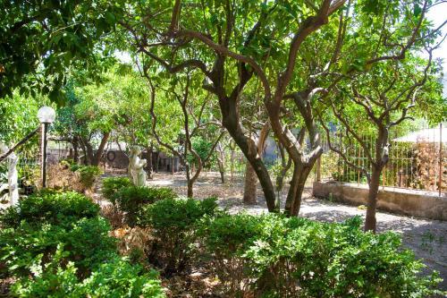 B&B Certe Notti