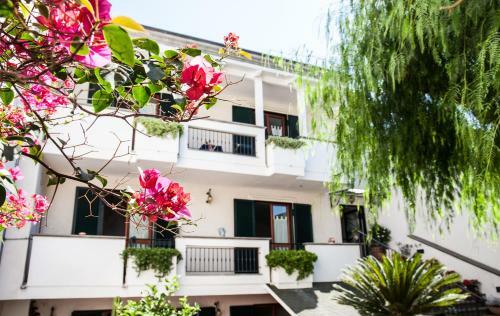 B&B Certe Notti