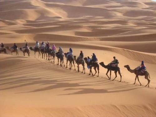 Camp Aicha Merzouga