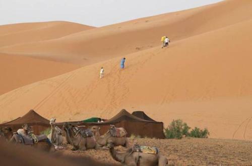 Camp Aicha Merzouga