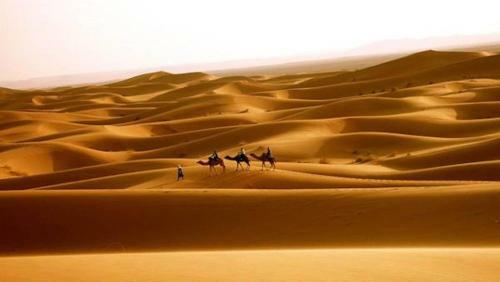 Camp Aicha Merzouga