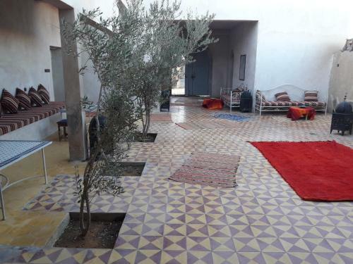 Bed & Breakfast Camels House