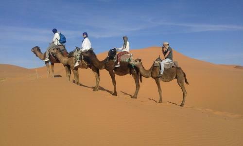 Bed & Breakfast Camels House