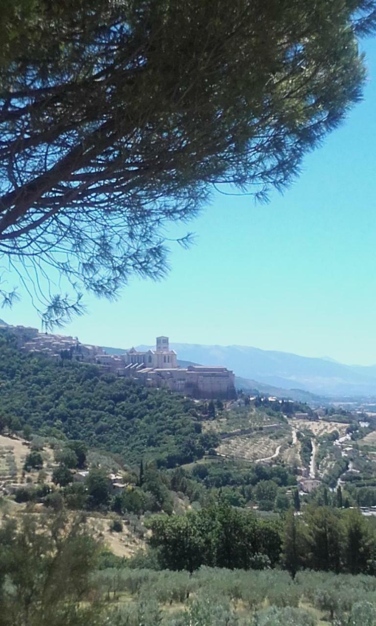 Agroturismo B&B Colle San Francesco