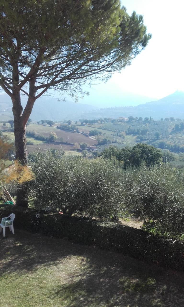 Agroturismo B&B Colle San Francesco