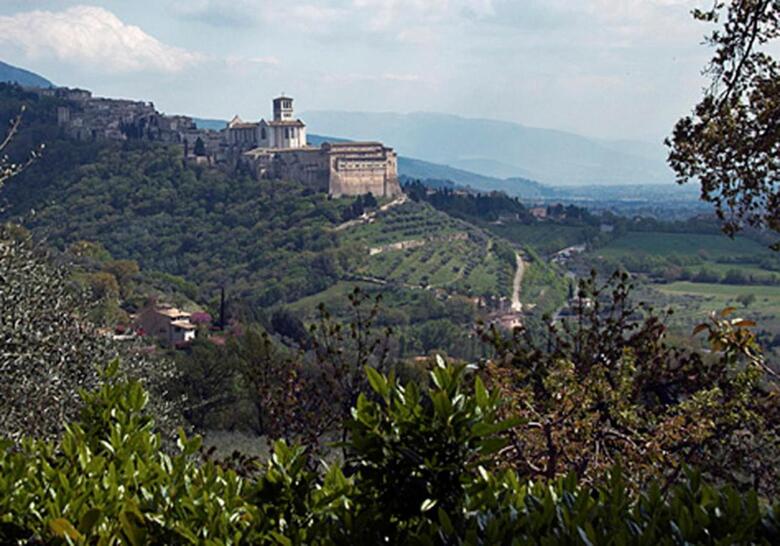 Agroturismo B&B Colle San Francesco