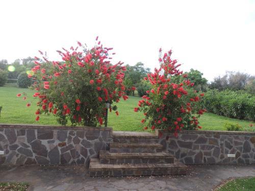 Agroturismo La Merla